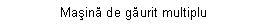 Text Box: Masina de gaurit multiplu